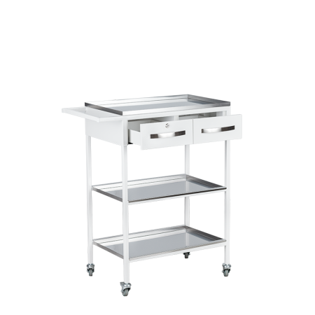 Стол медицинский СПА-2(735х425х905)