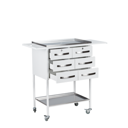 Стол медицинский СПА-6 (735х425х905)